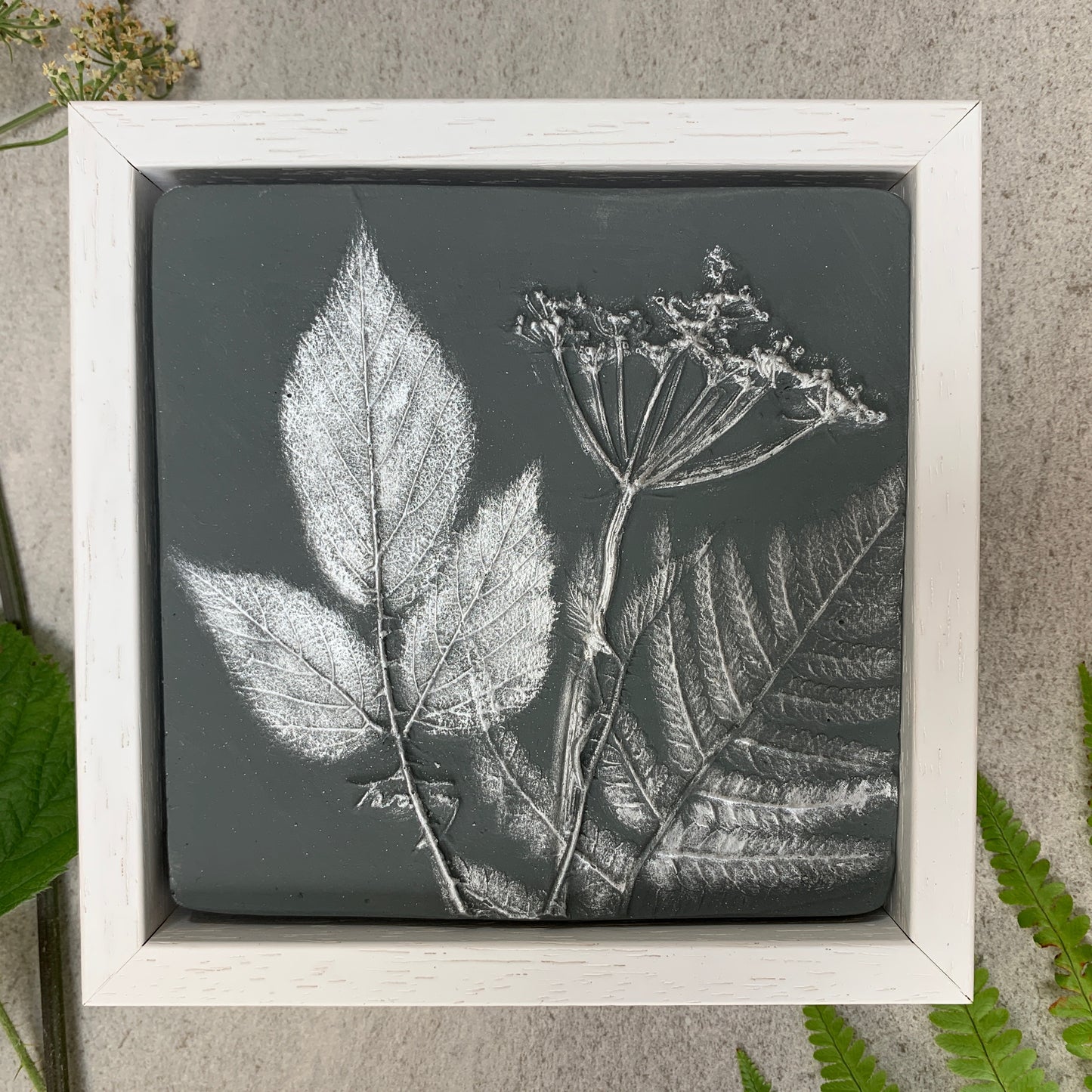Square Cow Parsley, Fern and Bramble Leaf Cast Framed - Dark Grey and Silver